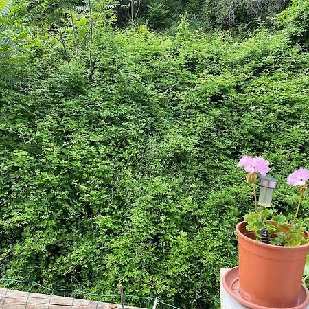 Villa Serenice - F2 Au Calme, Climatise, Wifi Et Parking Gratuit Esterno foto