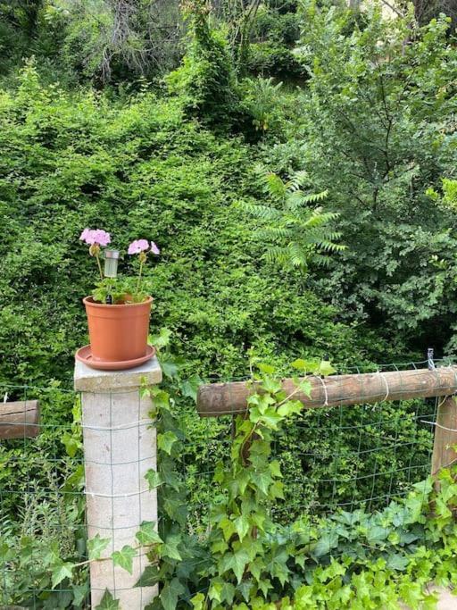 Villa Serenice - F2 Au Calme, Climatise, Wifi Et Parking Gratuit Esterno foto